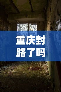 重庆封路了吗肺炎疫情—（重庆封路通知最新消息）