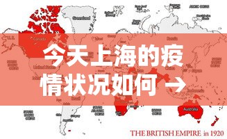 今天上海的疫情状况如何 → 今天上海疫情新增多少