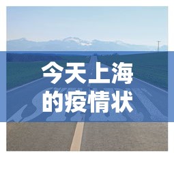 今天上海的疫情状况如何 → 今天上海疫情新增多少