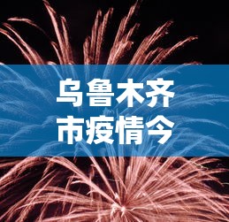 乌鲁木齐市疫情今日动态：乌鲁木齐市疫情最新情况等级