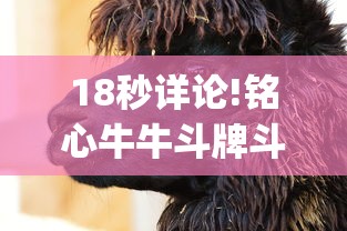18秒详论!铭心牛牛斗牌斗牛中心究竟有挂”开挂(透视)辅助教程