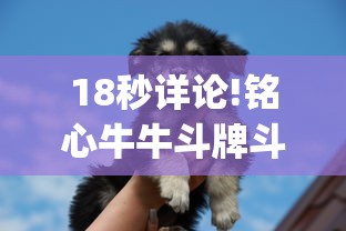 18秒详论!铭心牛牛斗牌斗牛中心究竟有挂”开挂(透视)辅助教程