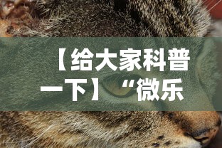 【给大家科普一下】“微乐辽宁麻将能不能开挂	”开挂科技辅助神器手机