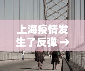 上海疫情发生了反弹 → 上海疫情发生了反弹了吗 上海疫情发生了反弹 → 上海疫情发生了反弹了吗