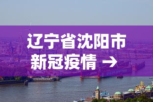 辽宁省沈阳市新冠疫情 → 辽宁省沈阳市新冠肺炎疫情