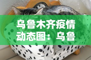 乌鲁木齐疫情动态图：乌鲁木齐疫情快讯