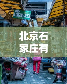 北京石家庄有没有疫情:北京石家庄有没有疫情啊 北京石家庄有没有疫情:北京石家庄有没有疫情啊