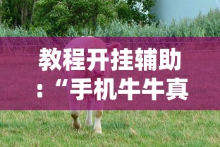 教程开挂辅助:“手机牛牛真的有挂吗”详细开挂玩法
