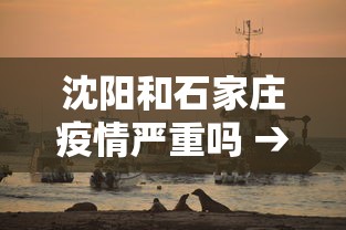 沈阳和石家庄疫情严重吗 → 沈阳和石家庄疫情严重吗今天