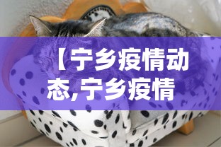 【宁乡疫情动态,宁乡疫情公布】