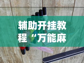 辅助开挂教程“万能麻将游戏开挂器		”(透视挂)详细用法教程