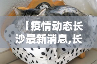 【疫情动态长沙最新消息,长沙疫情最新进展】