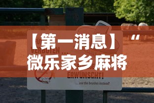 【第一消息】“微乐家乡麻将有什么技巧吗”真可以装挂