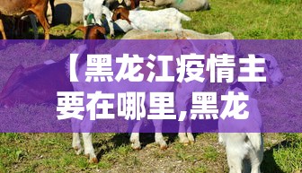【黑龙江疫情主要在哪里,黑龙江疫情在什么地方】