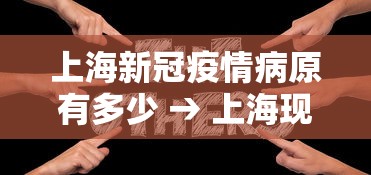上海新冠疫情病原有多少 → 上海现有新冠肺炎病例有多少