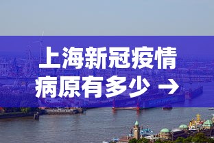 上海新冠疫情病原有多少 → 上海现有新冠肺炎病例有多少