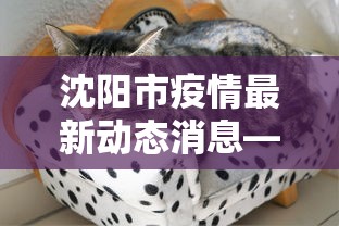 沈阳市疫情最新动态消息—（沈阳市疫情最新消息?）