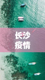 长沙疫情实时动态最新›长沙疫情实时动态最新数据