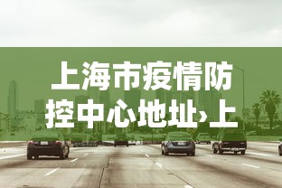 上海市疫情防控中心地址›上海市疫情防控指挥中心电话