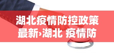 湖北疫情防控政策最新›湖北 疫情防控政策
