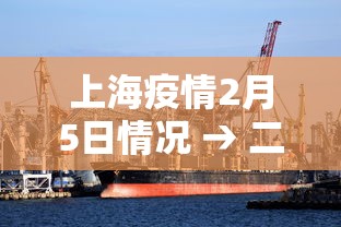 上海疫情2月5日情况 → 二月五号上海疫情
