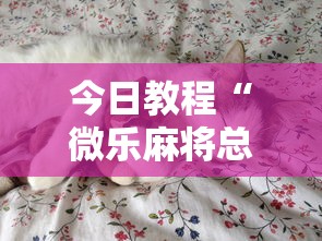 今日教程“微乐麻将总输咋回事”开挂详细教程