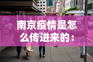 南京疫情是怎么传进来的：南京疫情是怎么传播过来的