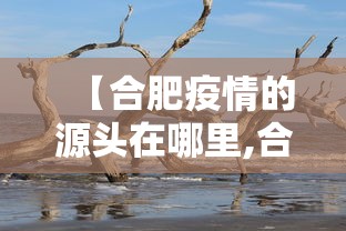 【合肥疫情的源头在哪里,合肥疫情是怎么回事】