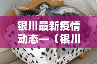银川最新疫情动态—（银川最新疫情信息）