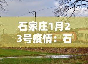 石家庄1月23号疫情：石家庄一月二十三日疫情