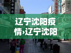辽宁沈阳疫情›辽宁沈阳疫情状况
