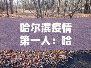 哈尔滨疫情第一人：哈尔滨首例肺炎疫情