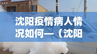 沈阳疫情病人情况如何—（沈阳役情如何）