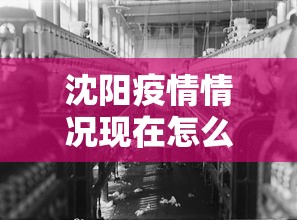 沈阳疫情情况现在怎么样—（沈阳疫情情况现在怎么样了）