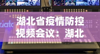 湖北省疫情防控视频会议：湖北省疫情防控视频调度会