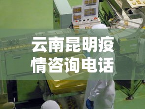 云南昆明疫情咨询电话—（昆明疫情咨询热线电话）