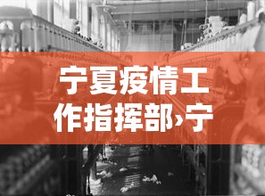 宁夏疫情工作指挥部›宁夏防疫指挥部