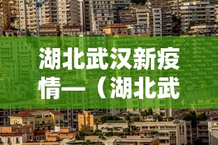 湖北武汉新疫情—（湖北武汉疫情方舱医院）