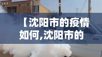 【沈阳市的疫情如何,沈阳市的疫情如何了】