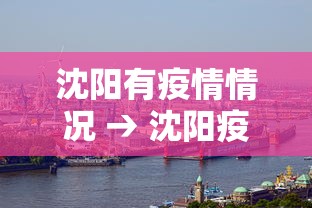 沈阳有疫情情况 → 沈阳疫情现在有几例