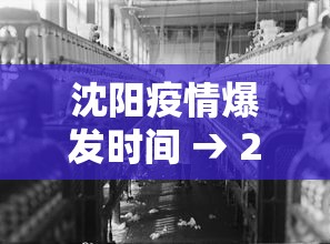 沈阳疫情爆发时间 → 2020沈阳疫情爆发期