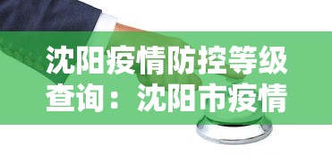 沈阳疫情防控等级查询：沈阳市疫情查询