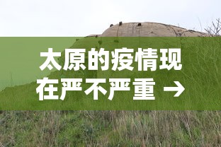 太原的疫情现在严不严重 → 太原疫情又严重了吗