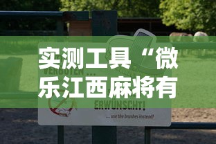 实测工具“微乐江西麻将有挂吗”通用版下载教程！