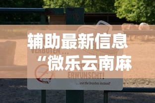 辅助最新信息“微乐云南麻将为什么一直输”(透视)开挂详细教程