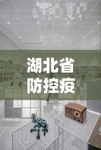 湖北省防控疫情中心电话：湖北省防控疫情中心电话是多少