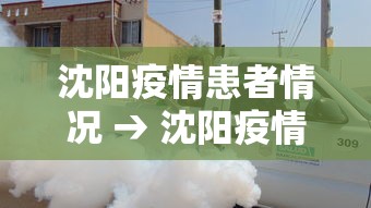 沈阳疫情患者情况 → 沈阳疫情具体情况