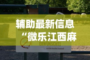 辅助最新信息“微乐江西麻将有挂吗”(透视)开挂详细教程