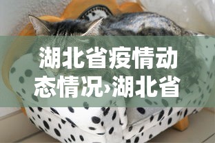 湖北省疫情动态情况›湖北省疫情实时动态