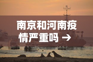 南京和河南疫情严重吗 → 南京和河南疫情严重吗现在
